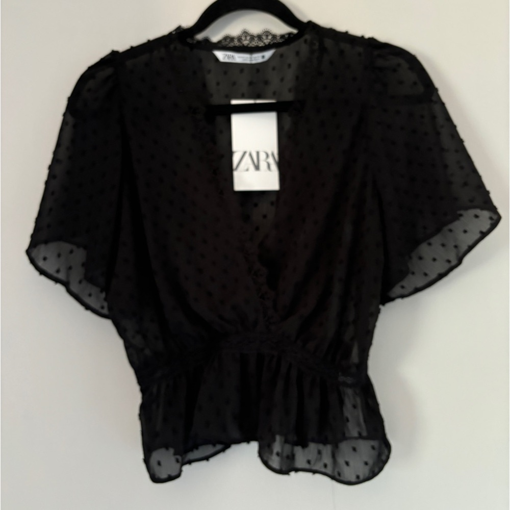 Zara Mesh Cropped T Shirt Blouse